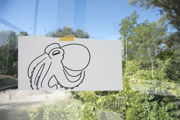 https://hugopernet.com/files/gimgs/th-153_HP_Poulkpe_fond_vert_DSC7430_copieweb.jpg
